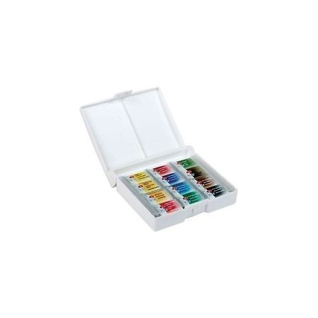 Set di acquerelli in scatola 12 godet interi per decorazioni nail art