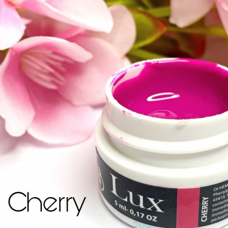 Gel nail art fucsia intenso - Cherry