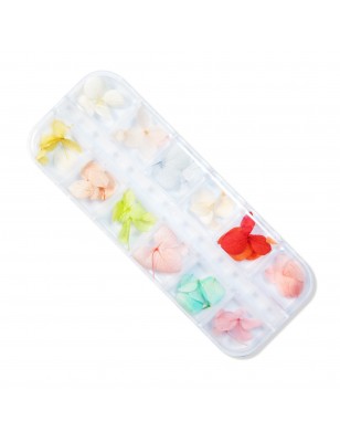 Fiori secchi per nailart per decorazioni nail art