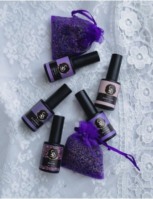 Kit Provence Collection