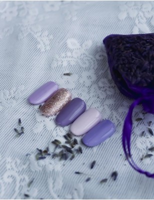 Kit Provence Collection